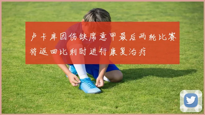 卢卡库因伤缺席意甲最后两轮比赛将返回比利时进行康复治疗